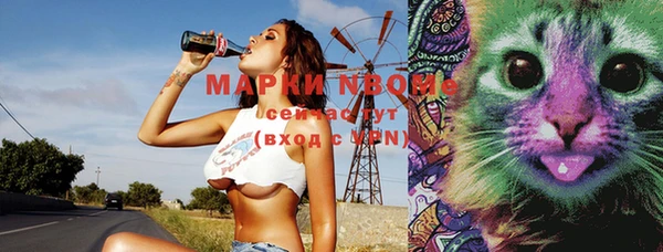 ПСИЛОЦИБИНОВЫЕ ГРИБЫ Губаха